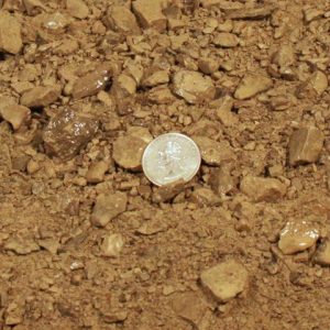 #411 Limestone