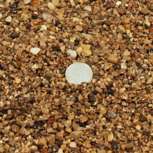 #9 Gravel